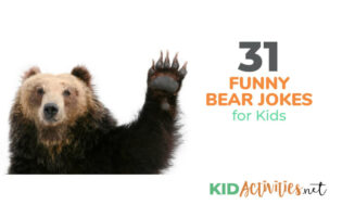 31 Funny Bear Jokes for Kids [Polar Bear Jokes & Koala Bear Jokes]