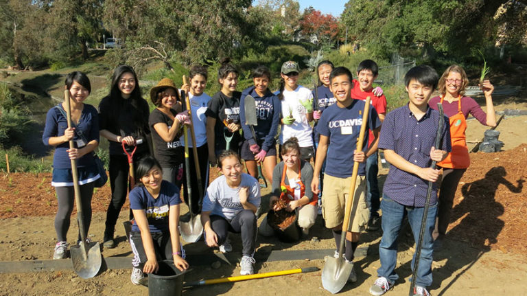 community-service-and-youth-examples-kid-activities