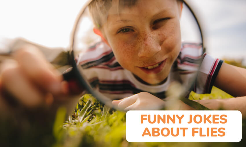 A picture of a young boy looking through a magnifying glass at the ground. Text reads "funny jokes about flies." 