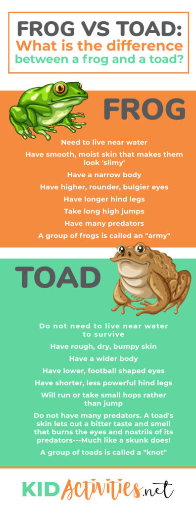 amphibians list for kids