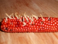 A picture of Indian corn sitting on a wood surface. 