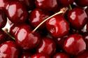A picture of cherries. 