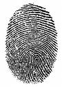 A picture of a fingerprint, signifying each individuals uniqueness. 