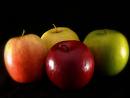 A picture of 4 different types of apples. 