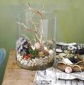 An image of an earth terrarium inside a small to medium glass vase sitting on an end table. 