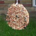 An image of a bagel hanging from a string. The bagel is covered in peanut butter and birdseed, making it a unique bird feeder. 