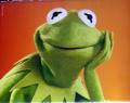 A picture of Kermit the Frog resting his head on his hand with an orange background. 