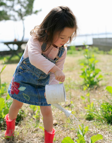 A picture of a young girl watering a plant. 
