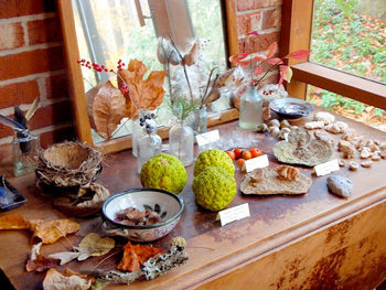 Leaf themed display table for kids. On this display table is different rocks, geodes, and leaves.  