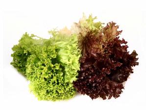 A picture of green and purple lettuce. 