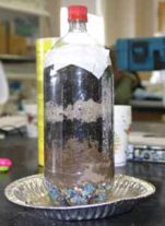 A picture of a 2 liter plastic bottle with layers of dirt and rock making a worm farm. 