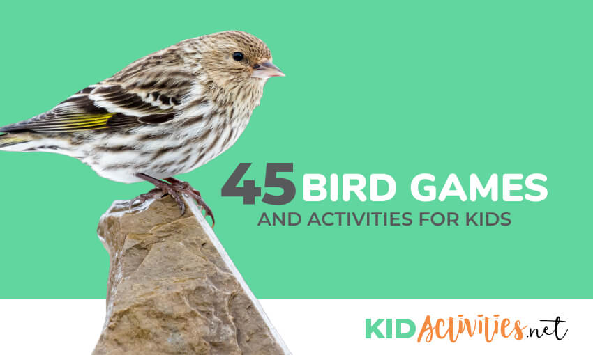 A small bird standing on a rock with text that reads 45 bird games and activities for kids.