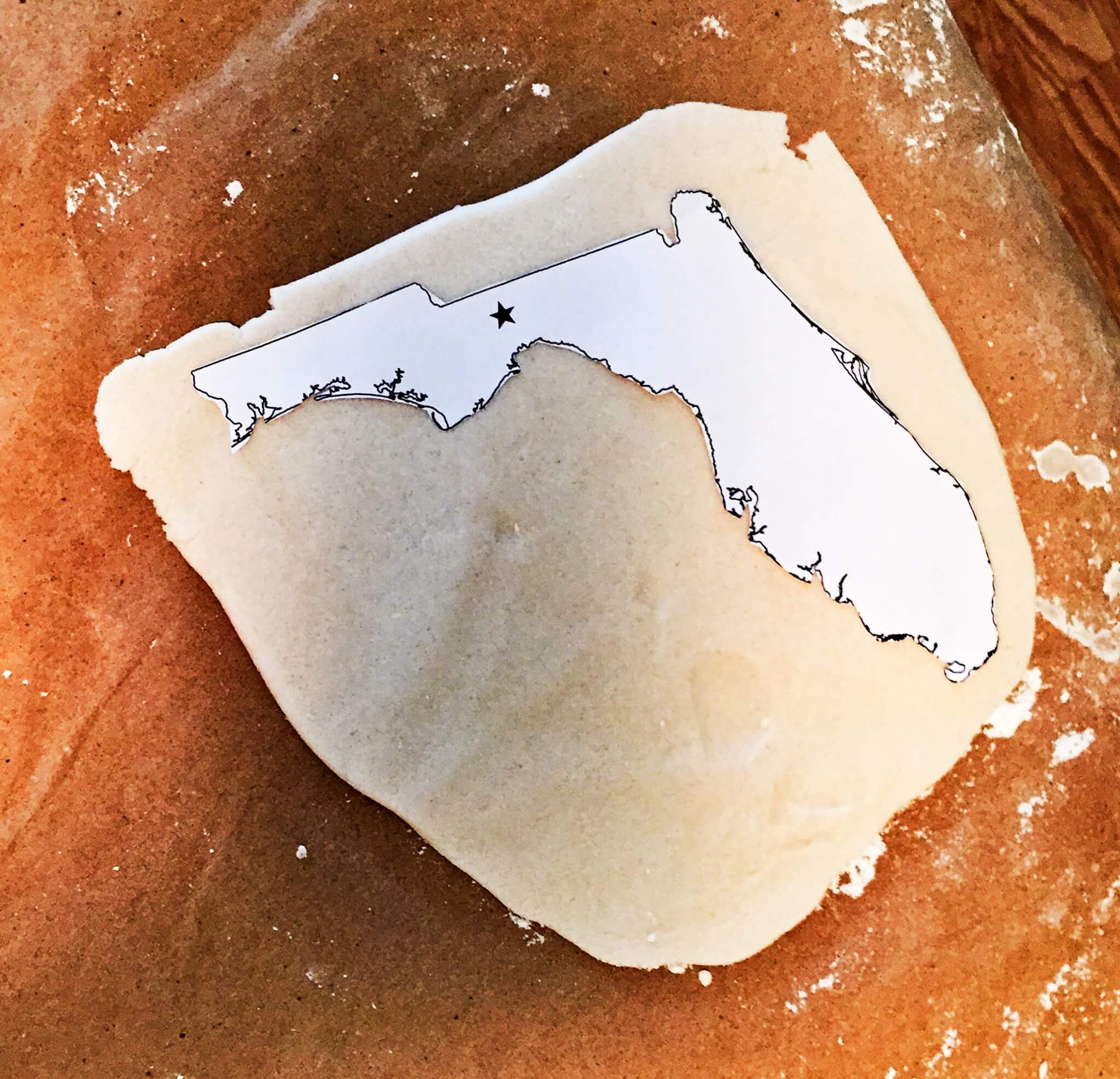 3D Salt Dough Map of Florida