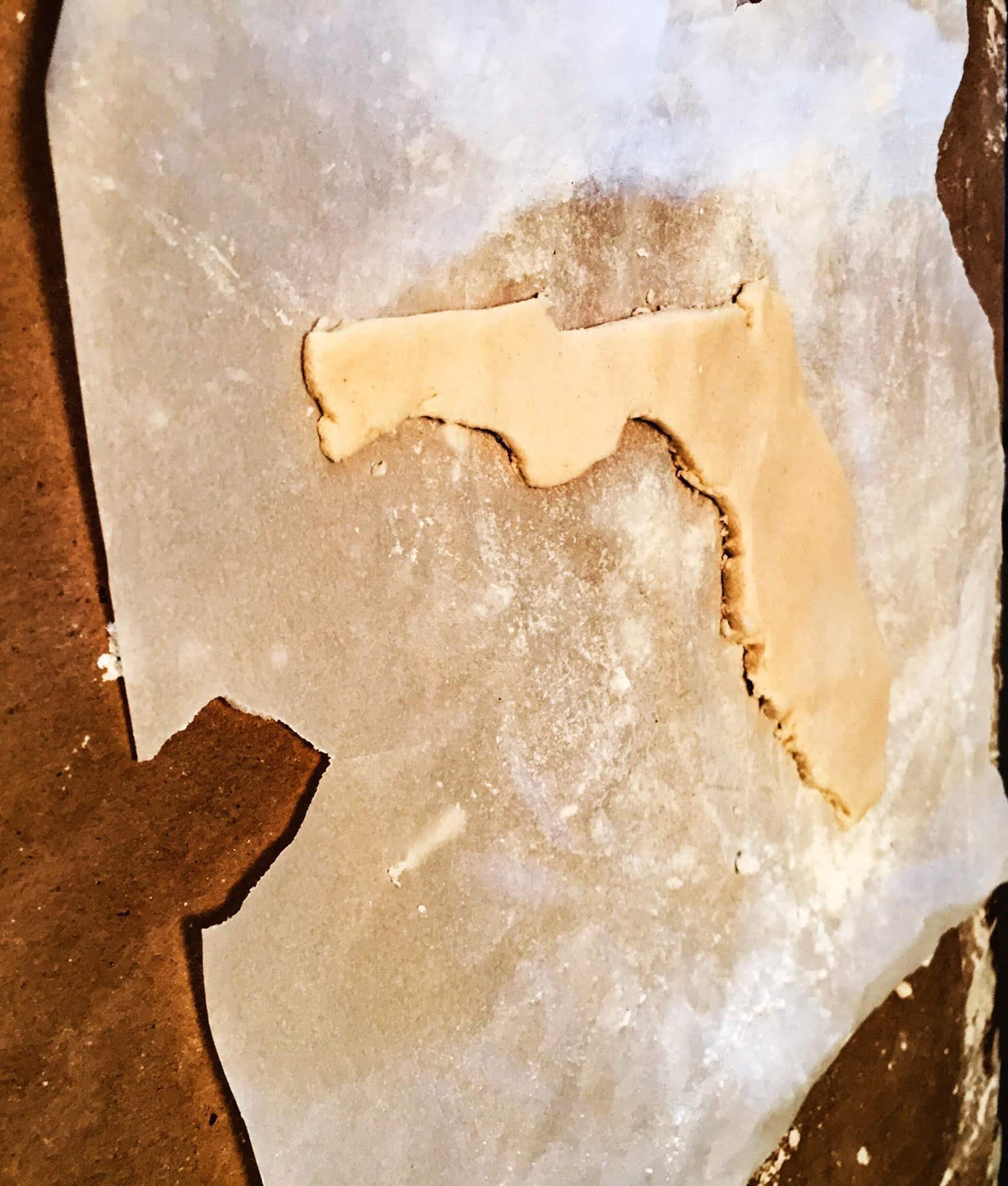 3D Salt Dough Map of Florida 2