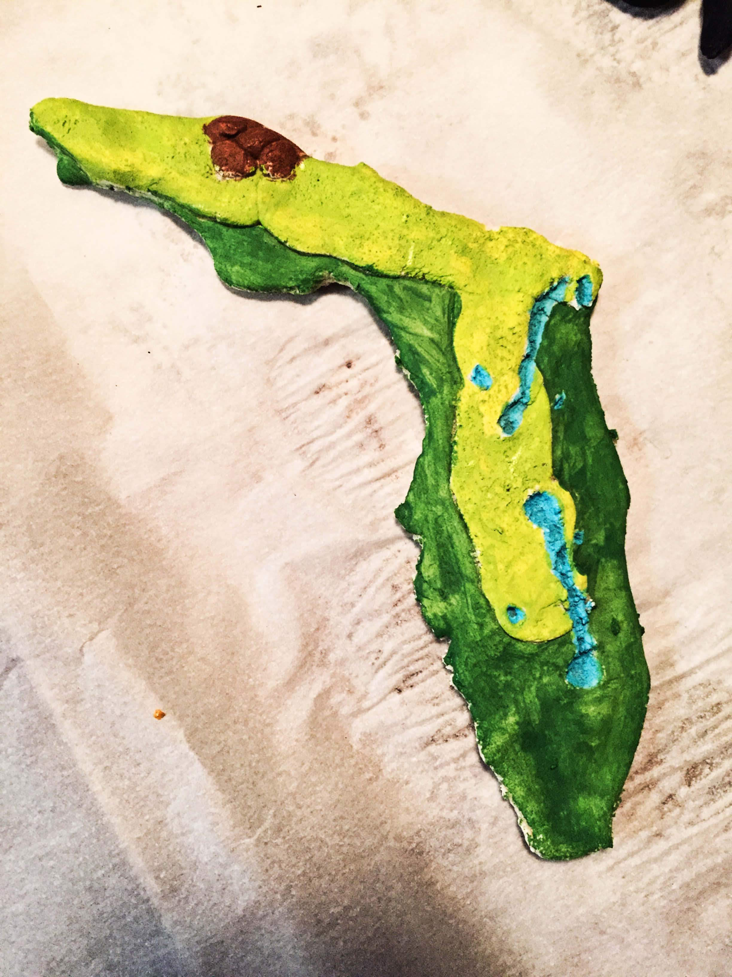 3D Salt Dough Map of Florida 3