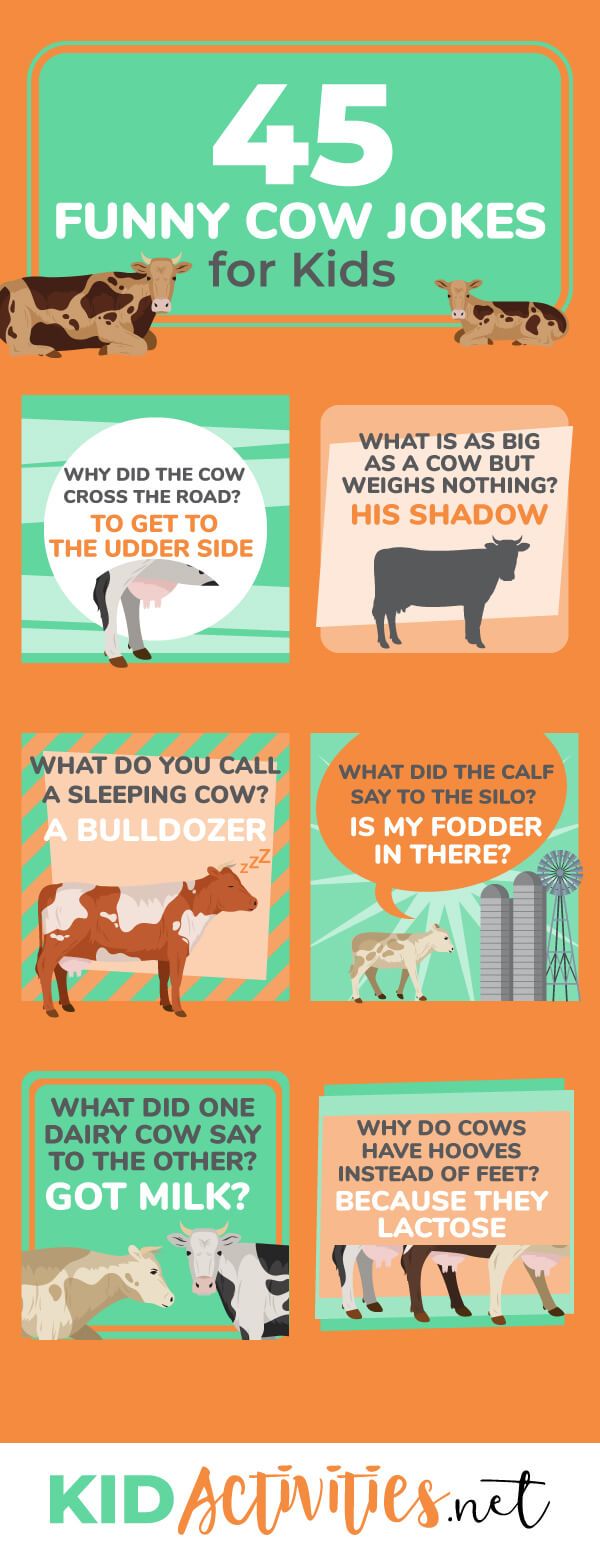 A collection of 45 cow jokes for kids. These are school appropriate and are great for telling at the lunch table, in the classroom, or even on <a href=