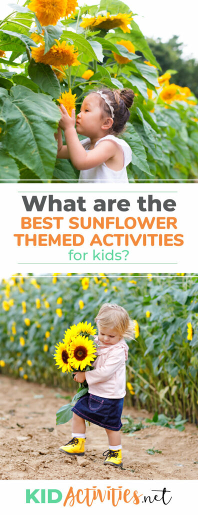 What are the best sunflower activities for kids? Here you will find a list of 23 activities to kids interact and learn about sunflowers. Great for a sunflower theme day.