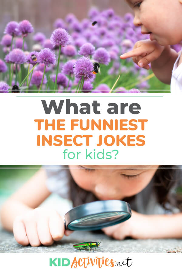 A Pinterest image with two pictures. One of a young child pointing at a insect on a flower. Another picture of young girl looking through a magnifying glass at a beetle. Text reads What are the funniest insect jokes for kids? 