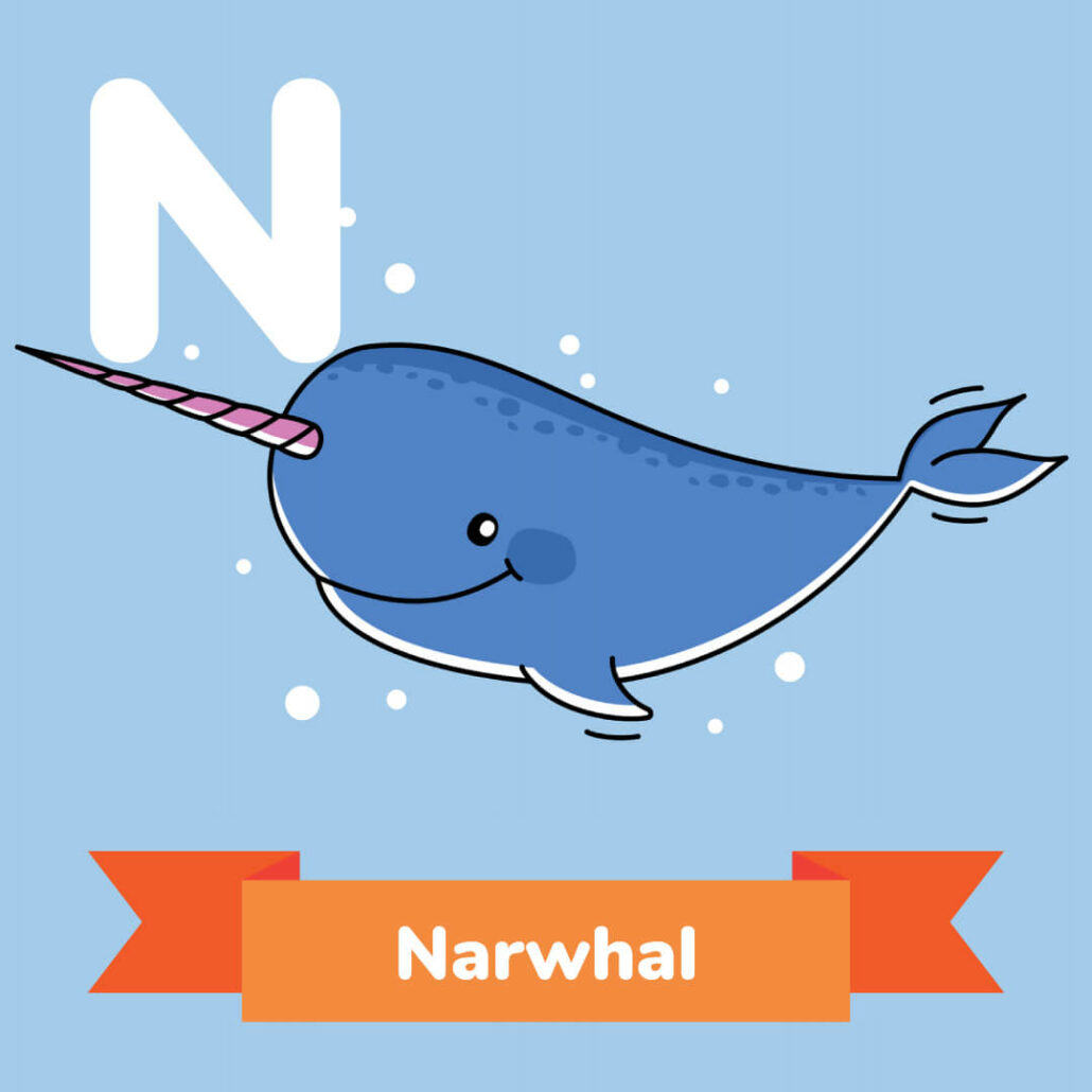 A picture of the Narwhal