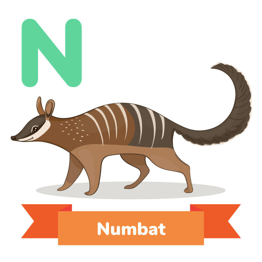 animals that start with n