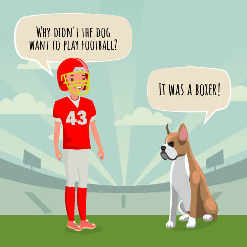 32 Funny Football Jokes for Kids