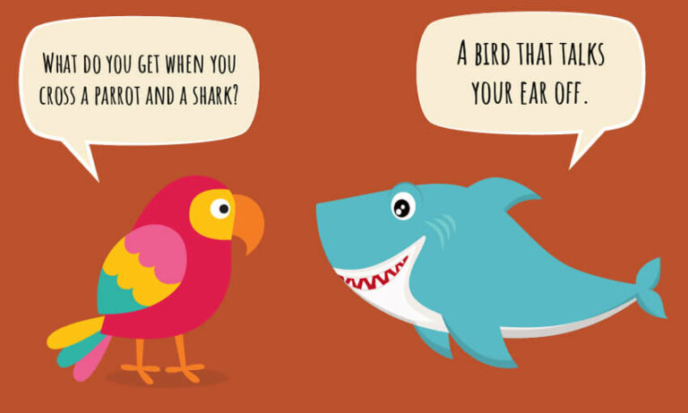 20 Funny Bird Jokes for Kids