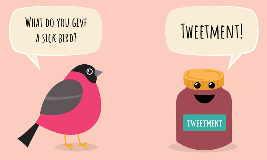 An animated picture of a bird and a jar with the joke, "What do you give a sick bird?"