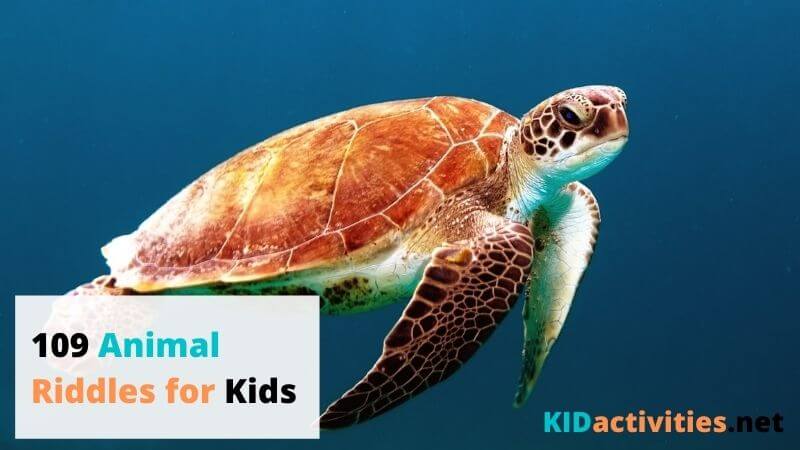 109 Animal Riddles for Kids