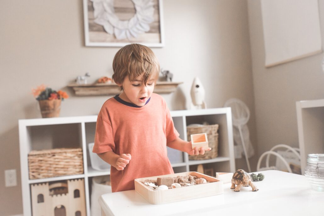 Tidy the Playroom 