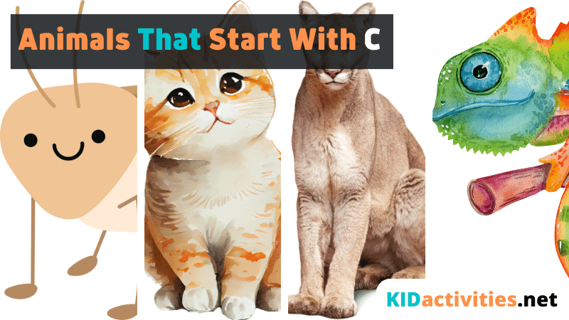 44 Animals Τhat Start With C