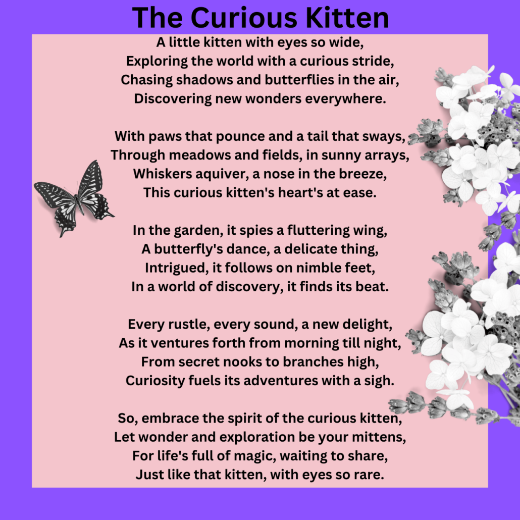 The Curious Kitten Poem for Second Graders