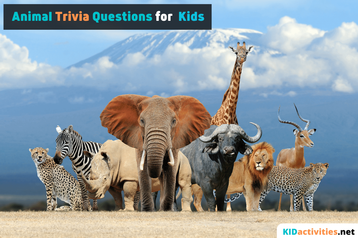 60 Animal Trivia Questions for Kids