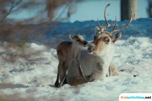 50 Inspiring Movies for Kids