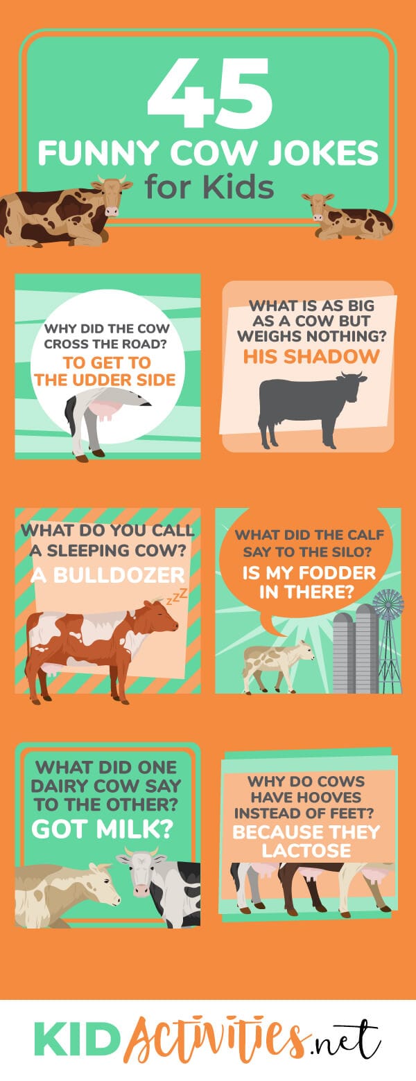 45-cow-jokes-for-kids