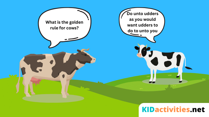 What is the golden rule for cows