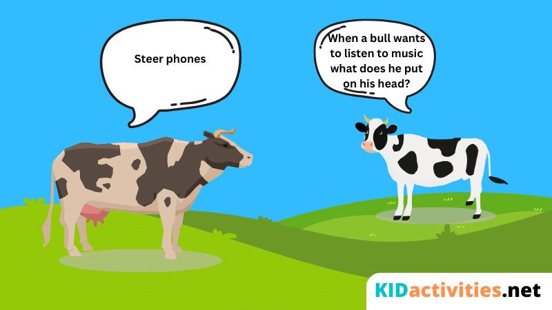 When a bull wants to listen to music what does he put on his head